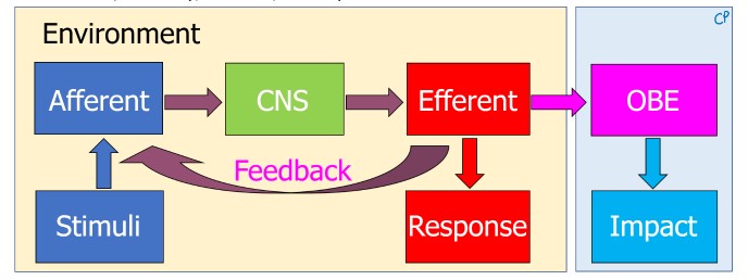 System Concept, and Outcome and Impact